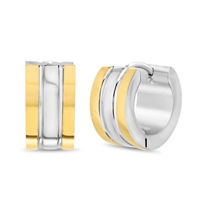 Picture of Two-Tone Stainless Steel IP 7x14mm Earrings
