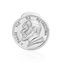 Picture of Silver-Tone Brass Round Disc New Testament Nano My Bible Pin