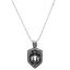Picture of Skull/Cross/Crown Shield Necklace in Stainless Steel